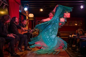 Slepptu röðinni: Flamenco sýningarmiði á Jardines de Zoraya, Granada