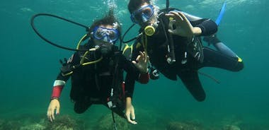 Discover Scuba Diving Baptism of the Sea in Half Day