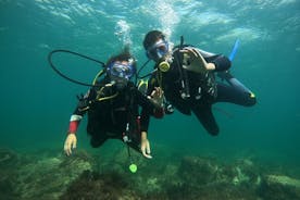 Découvrez la plongée sous-marine Baptême de la mer en demi-journée