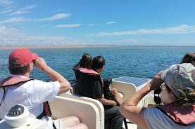 Birdwatching a Ria Formosa - Eco Boat Tour da Faro