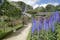 Photo of the Alnwick Garden that is one of the world’s most extraordinary contemporary gardens. From poisonous plants and treetop walkways to glorious roses and towering delphiniums, UK.