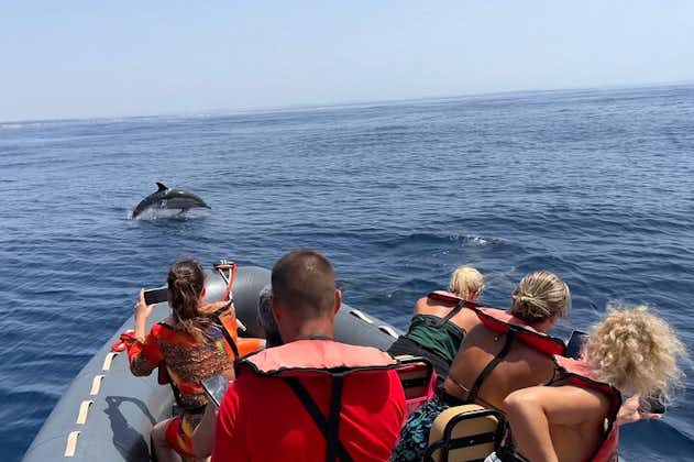 Osservazione dei delfini e grotte di Benagil con biologo a bordo