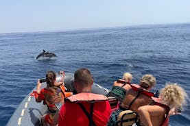 Dolphin Watching and Benagil Caves Guided Boat Tour