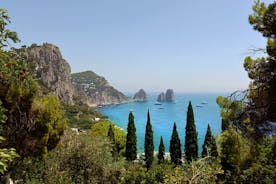 Small Group Capri Anacapri and Blue Grotto Tour from Rome