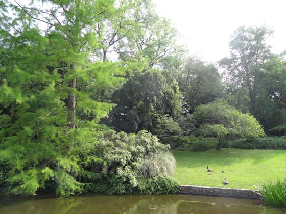 Botanical Garden, Saint-Josse-ten-Noode - Sint-Joost-ten-Node, Brussels-Capital, Belgium