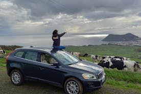 Tour privado de medio día a la isla Terceira
