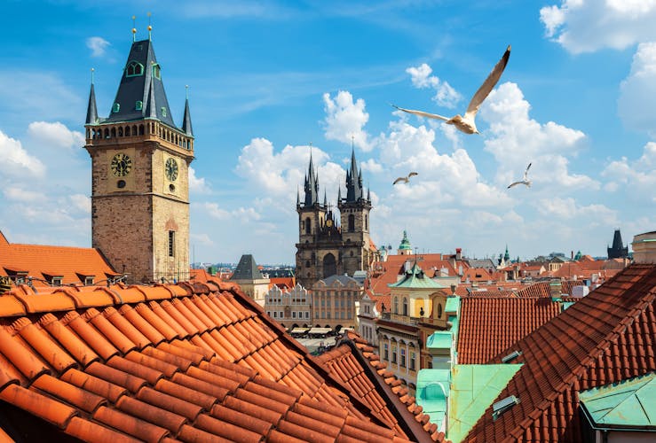 Photo of gulls over Prague chimes and Tynsky cathedral at summer day.