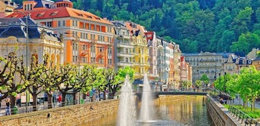 Karlovy Vary에서 Český Krumlov (으)로가는 개인 편도 이동
