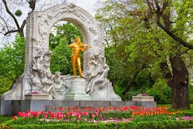 Vienna: Meet Strauss Life Private Guided Walking Tour