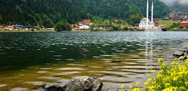 Full-Day Private Tour to Uzungöl from Trabzon