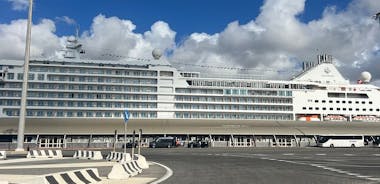 Private Luxury Transfer from Civitavecchia Port Cruise to Rome