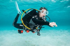 马德拉岛的水肺潜水体验