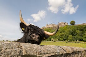 Loch Lomond, Stirling Castle, and the Kelpies Tour from Edinburgh