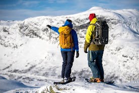 1 Tag Schneecoach- und Schneeschuh-Abenteuer in Jotunheimen