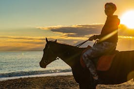 Antalya Passeggiate a cavallo sulla spiaggia e attraverso le foreste per 2 ore