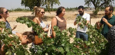 Valencia Private Wine Tour with Full Lunch