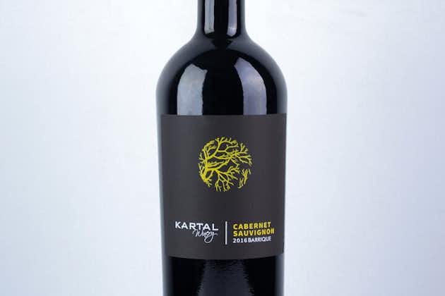 Premium Oak Aged Wines Tasting Tour i Family Winery Kartal i Skopje