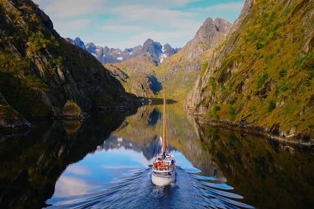 Lofoten Islands Luxury Trollfjord Cruise með hádegismat frá Svolvær