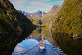 Luxuriöse Trollfjord-Kreuzfahrt auf den Lofoten-Inseln mit Mittagessen ab Svolvær