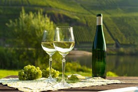 Visite privée de dégustation de vin à Munich avec un expert en vin
