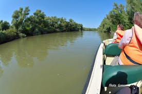 Delta del Danubio PRIVADO viaje en barco a Mila23 Village (visita guiada)