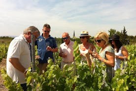 Excursion viticole privée d'une journée au départ de Carcassonne et des environs.