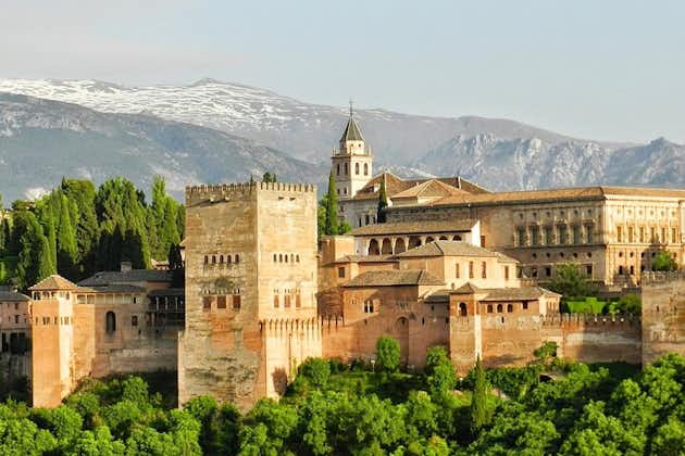 Punti salienti turistici di Granada in un tour privato di mezza giornata con un locale