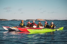 Excursion de 3 heures en kayak de mer dans l'archipel de Turku