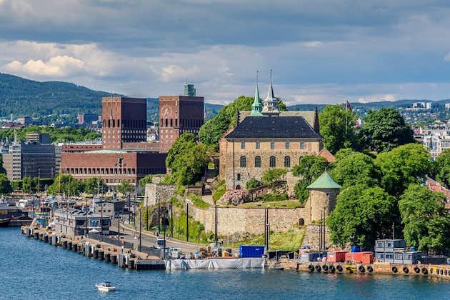 Excursion privée à terre: tous les points forts d'Oslo
