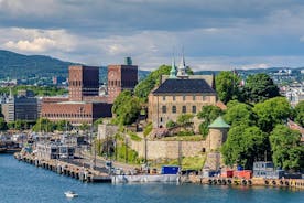 Private Shore Excursion: All-Highlights of Oslo
