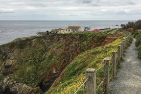Lizard Point: A Self-Guided Photography Tour