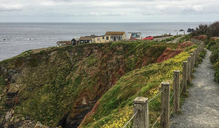 Lizard Point: A Self-Guided Photography Tour