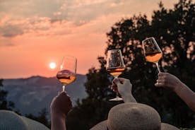 Degustazione di vini al tramonto in vigna