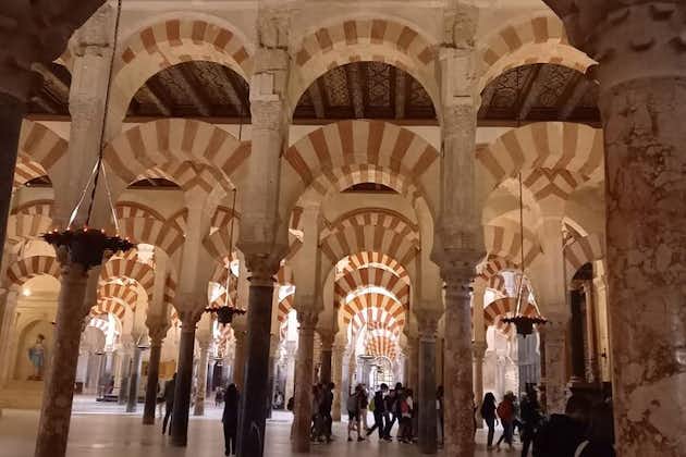Tour privado Córdoba, Mezquita y Judería