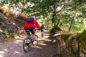 Faites du vélo sur le chemin côtier portugais jusqu'à Santiago - Visite guidée - du 4 au 11 juillet