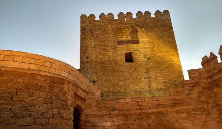 Alcazaba d'Almeria