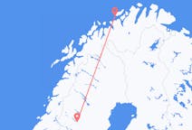 ตั๋วเครื่องบินจากเมืองHasvikไปยังเมืองVilhelmina