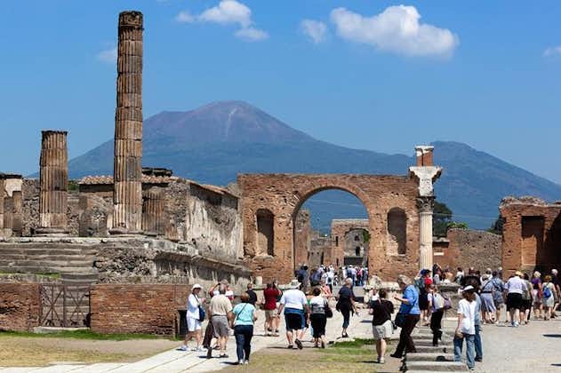 Pompeji och Herculaneum ledd av en arkeolog med privat transport