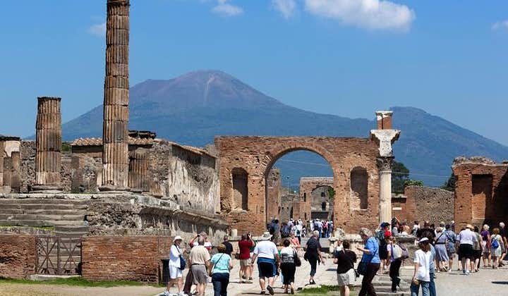 Pompeii and Herculaneum led by an Archaeologist with private transport
