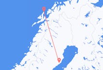 Flights from Andenes, Norway to Umeå, Sweden