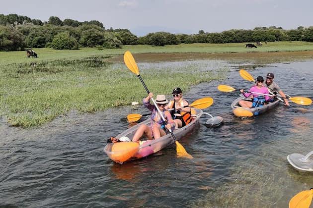 Kayak o Stand Up Paddle en el lago Shkodra y el río Buna