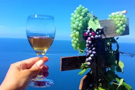Minitrekking og besøk av vingården Cinque Terre