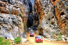 Creta: Jeep Safari, montañas, cría de cabras y elaboración de queso