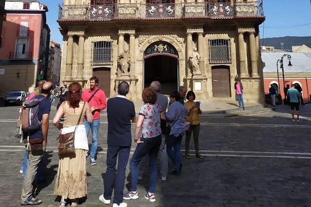 Private City Tour Pamplona