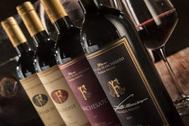Bolgheri: cata de vinos premium con visita a la bodega