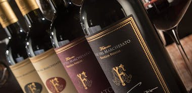 Bolgheri: Premium vinprovning med vingårdstur