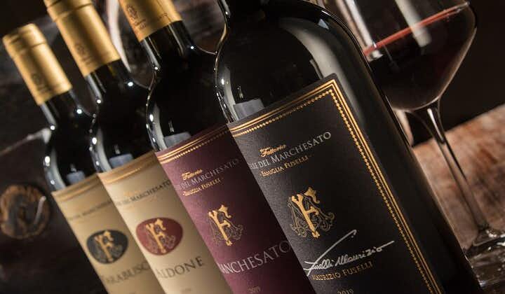 Bolgheri: Premium vinprovning med vingårdstur