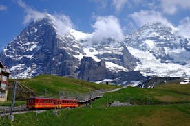 Jungfraujoch Top of Europe og region privat tur fra Basel
