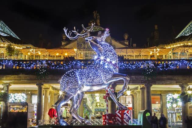 Excursão particular: excursão em tradicional táxi preto de Londres para ver as luzes de Natal