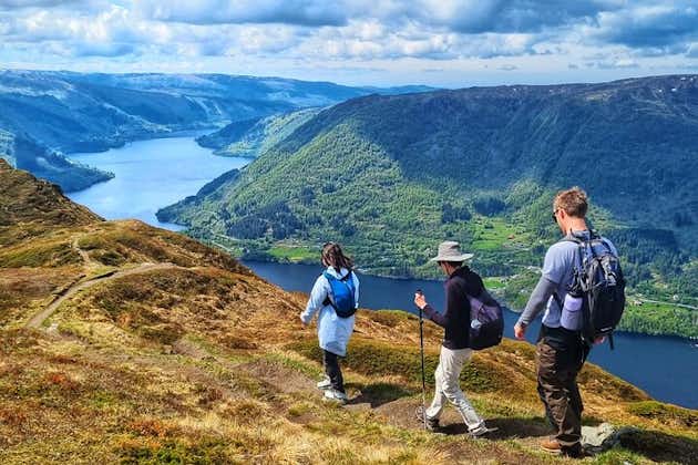 Escursione privata di un'intera giornata al fiordo - Bergen